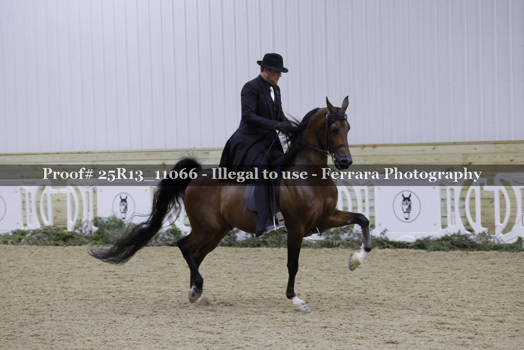 Proof Number 25R13_11066