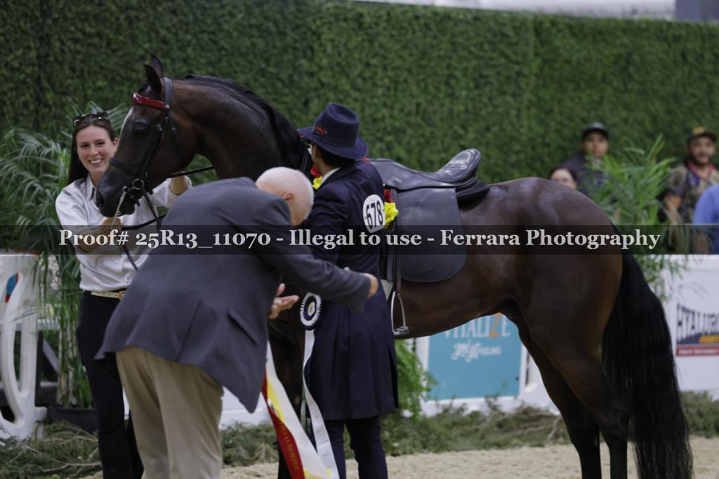 Proof Number 25R13_11070