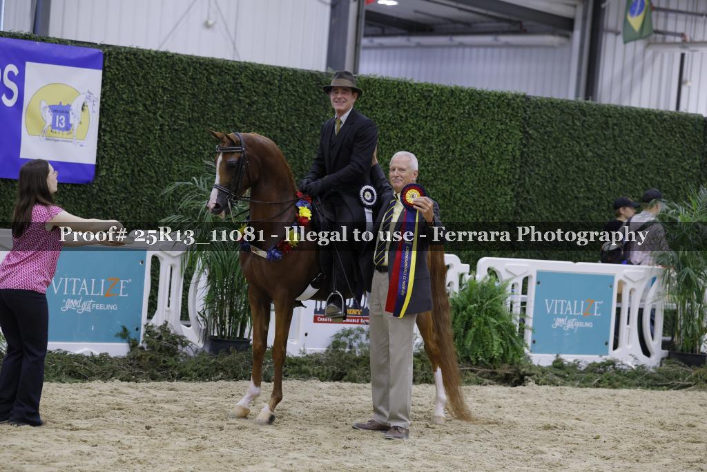 Proof Number 25R13_11081