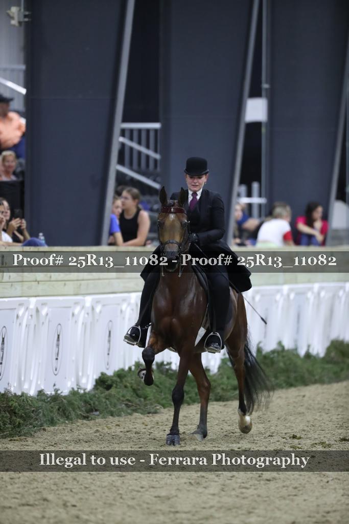 Proof Number 25R13_11082