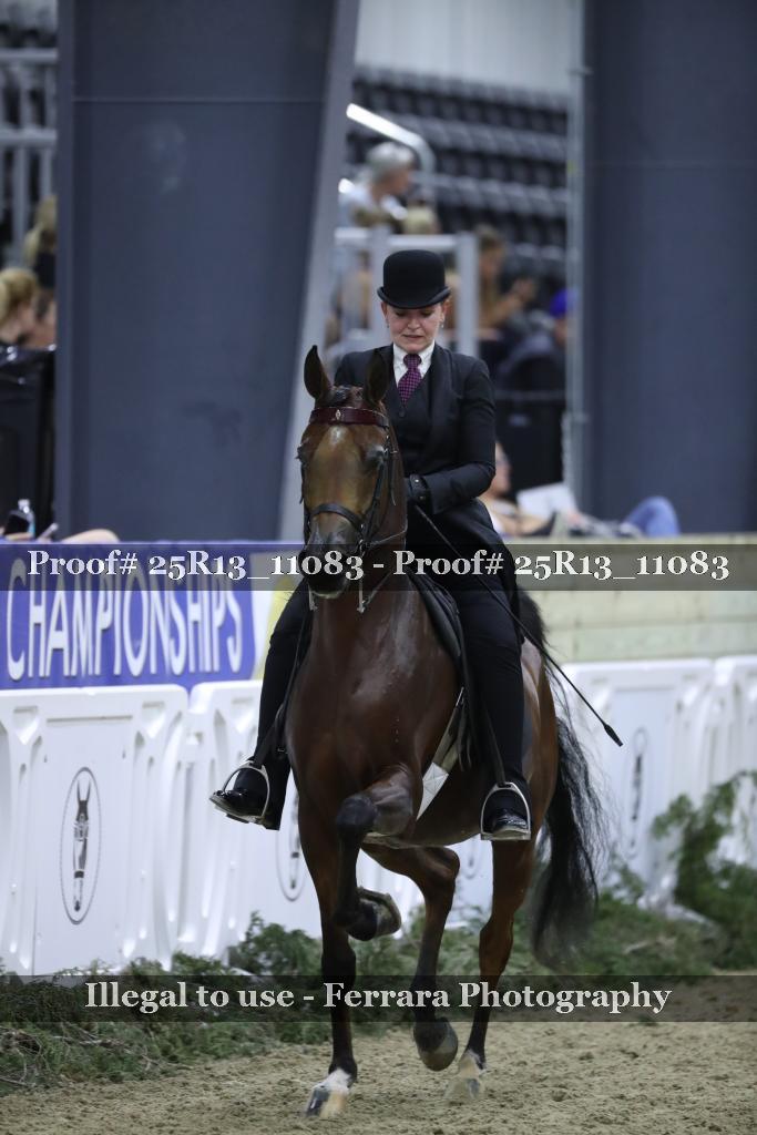 Proof Number 25R13_11083