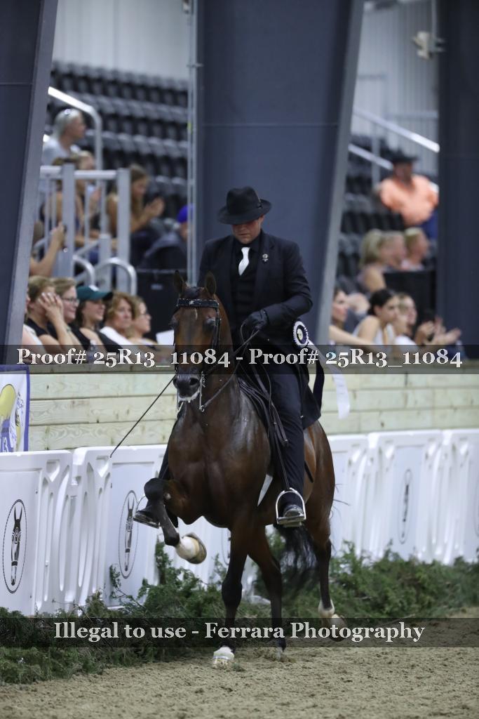 Proof Number 25R13_11084