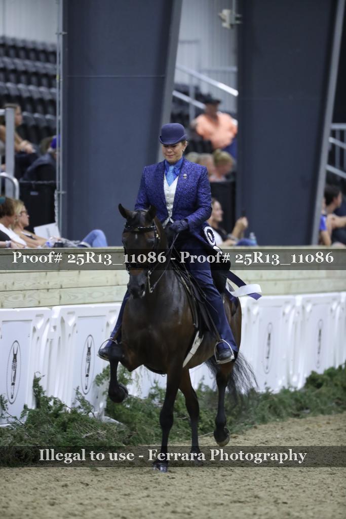 Proof Number 25R13_11086