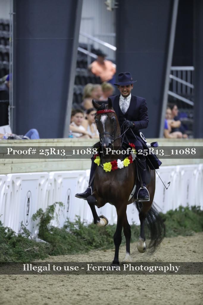 Proof Number 25R13_11088