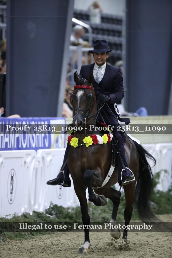 Proof Number 25R13_11090