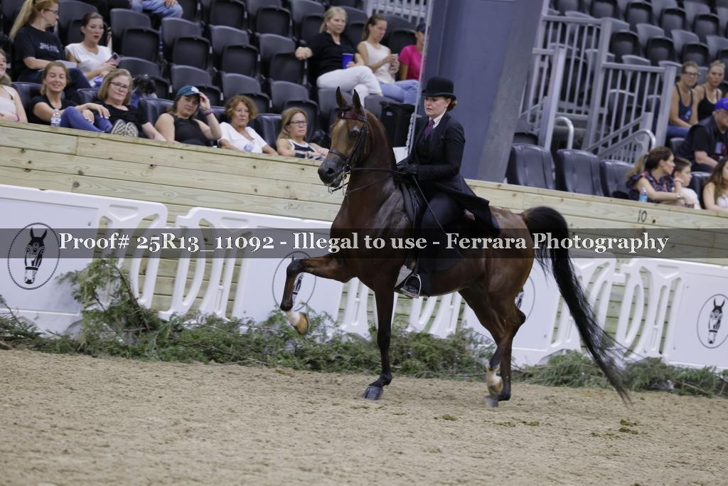 Proof Number 25R13_11092