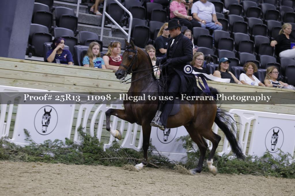 Proof Number 25R13_11098