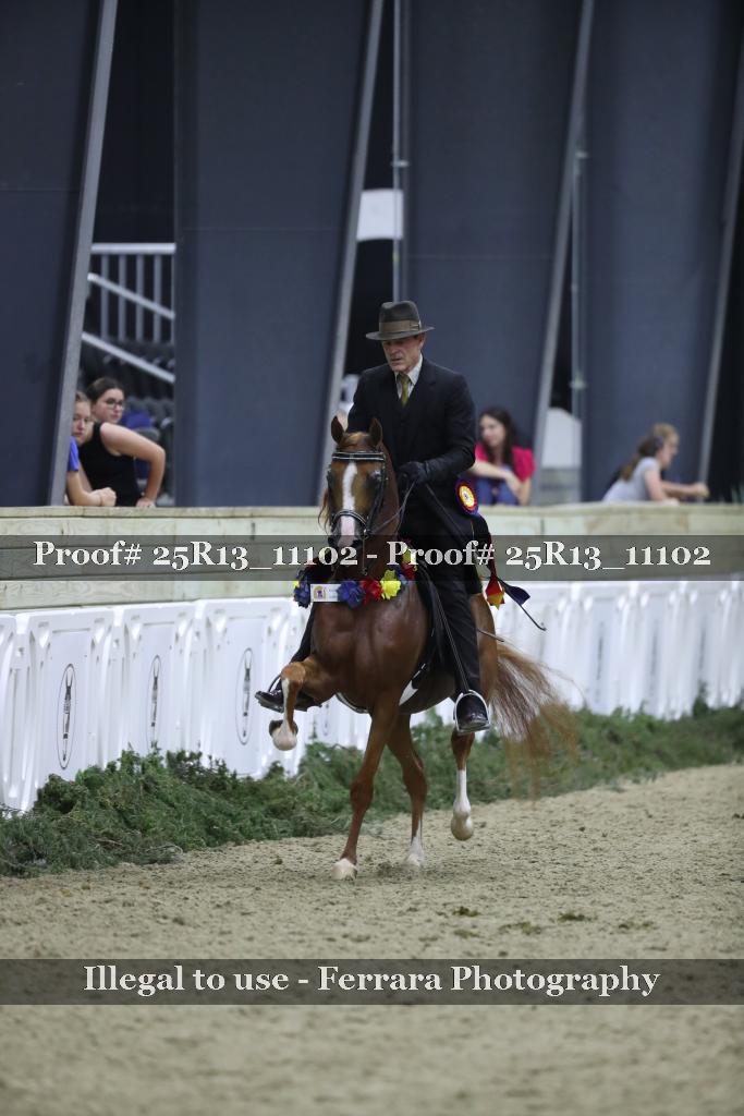 Proof Number 25R13_11102