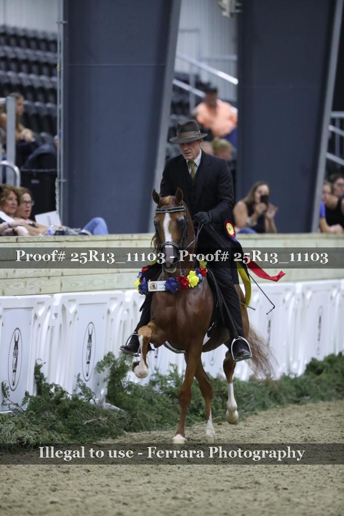 Proof Number 25R13_11103