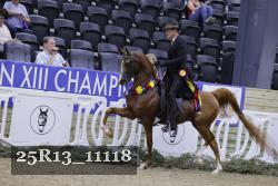 25R13_11118 thumbnail