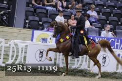 25R13_11119 thumbnail