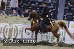 25R13_11120 thumbnail