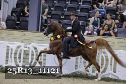 25R13_11121 thumbnail