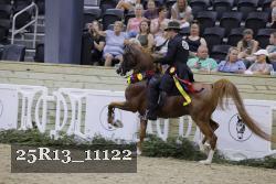 25R13_11122 thumbnail