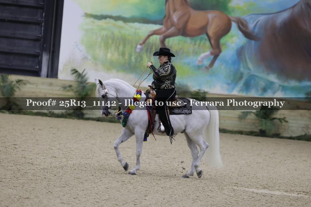 Proof Number 25R13_11142