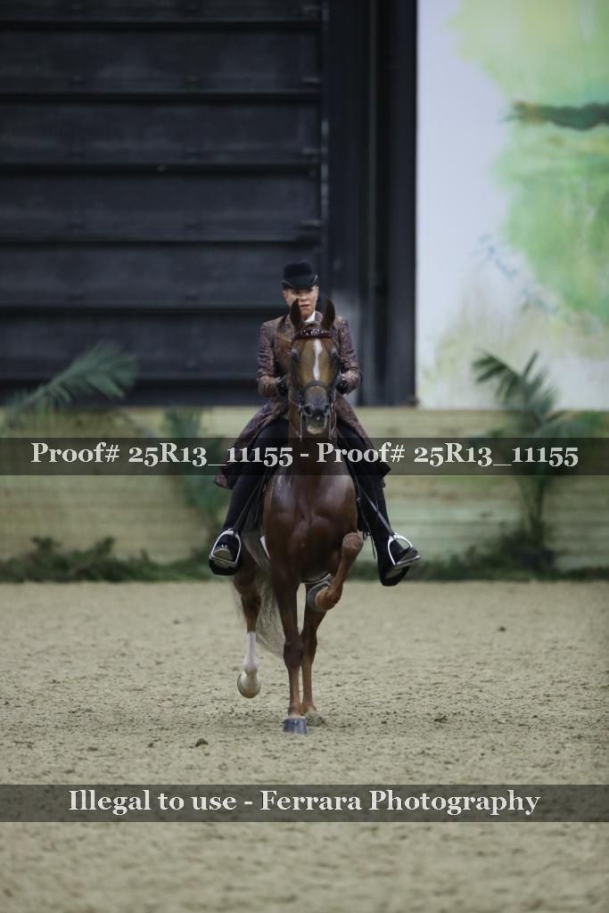 Proof Number 25R13_11155