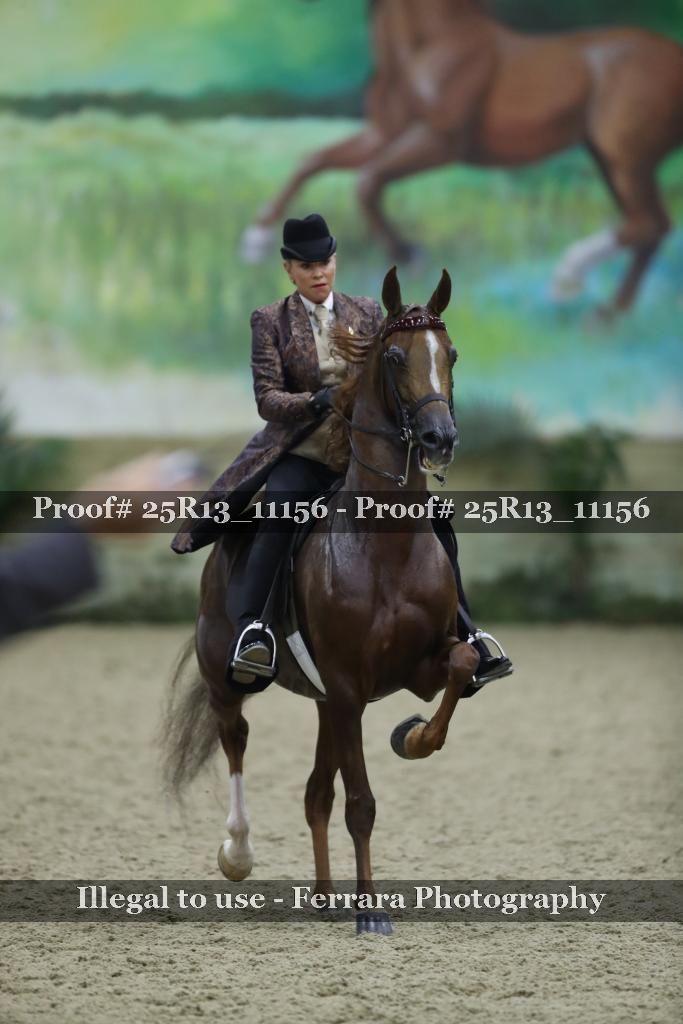 Proof Number 25R13_11156