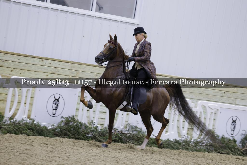 Proof Number 25R13_11157