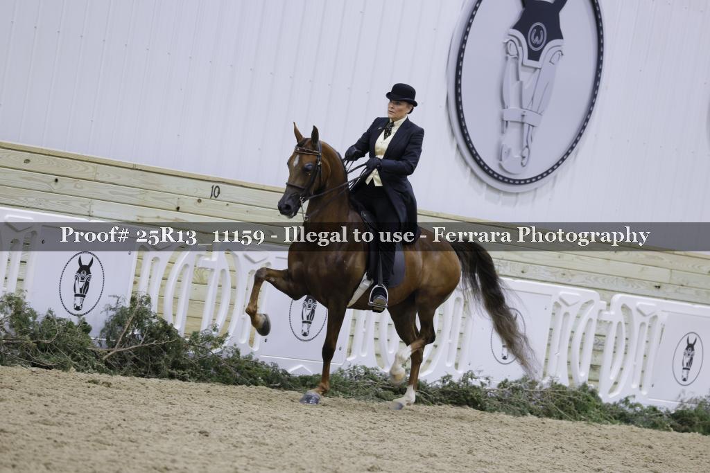 Proof Number 25R13_11159