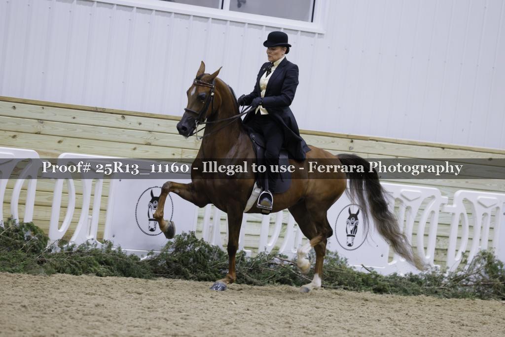 Proof Number 25R13_11160