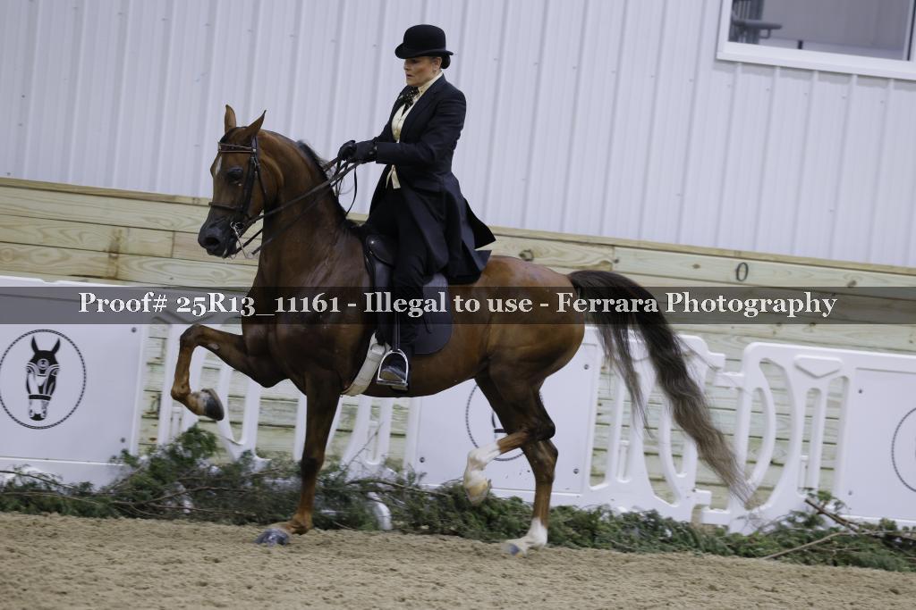 Proof Number 25R13_11161