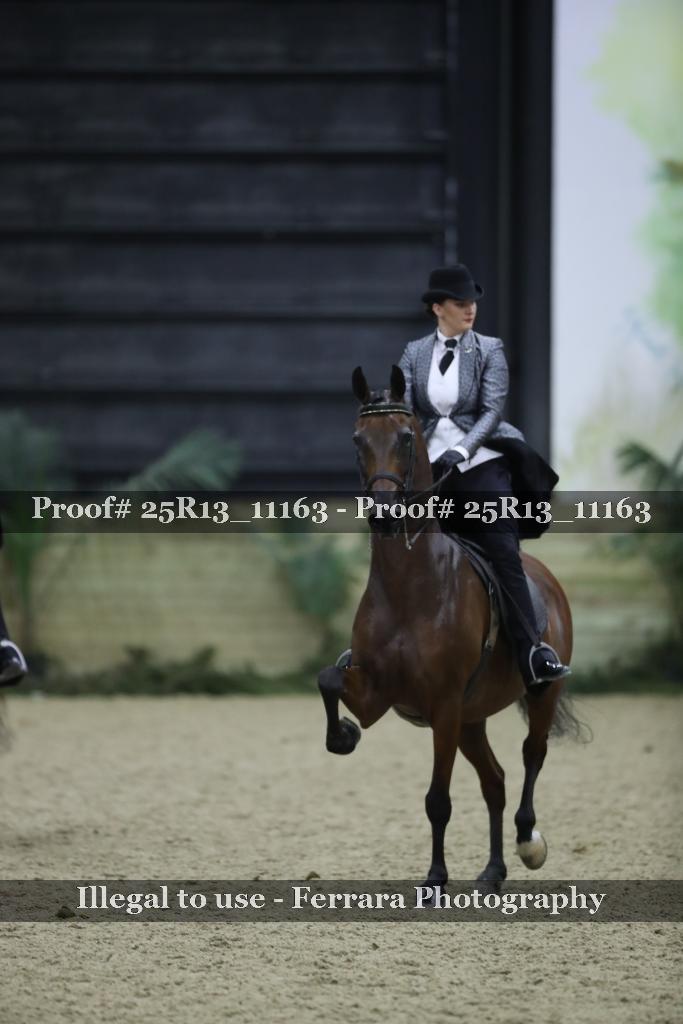Proof Number 25R13_11163