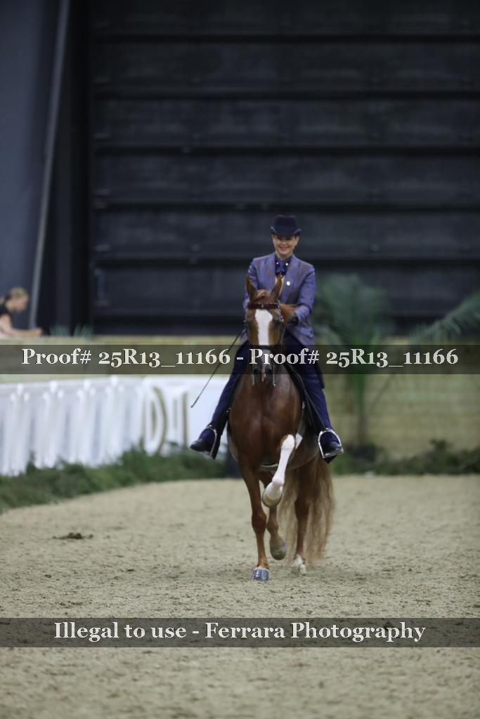 Proof Number 25R13_11166
