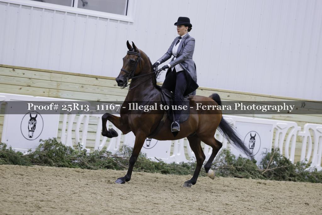 Proof Number 25R13_11167