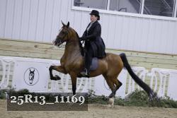 25R13_11169 thumbnail