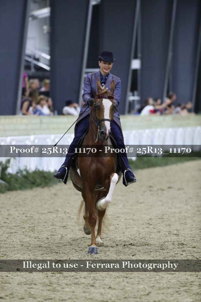 Proof Number 25R13_11170