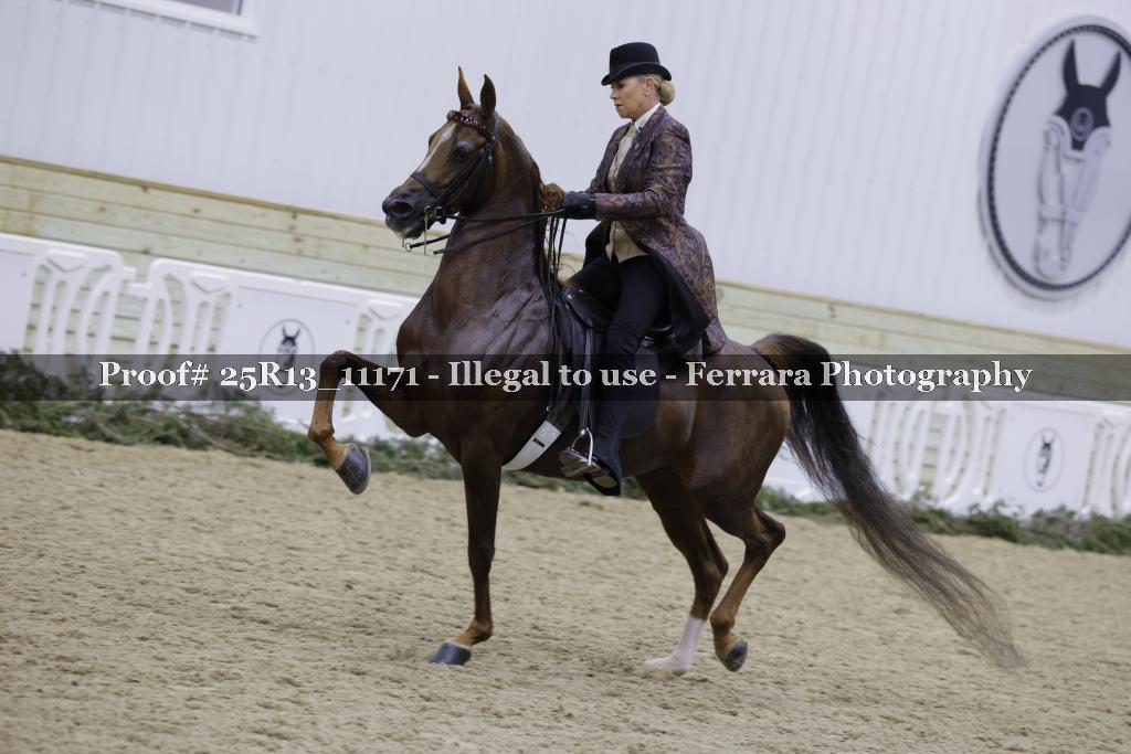 Proof Number 25R13_11171