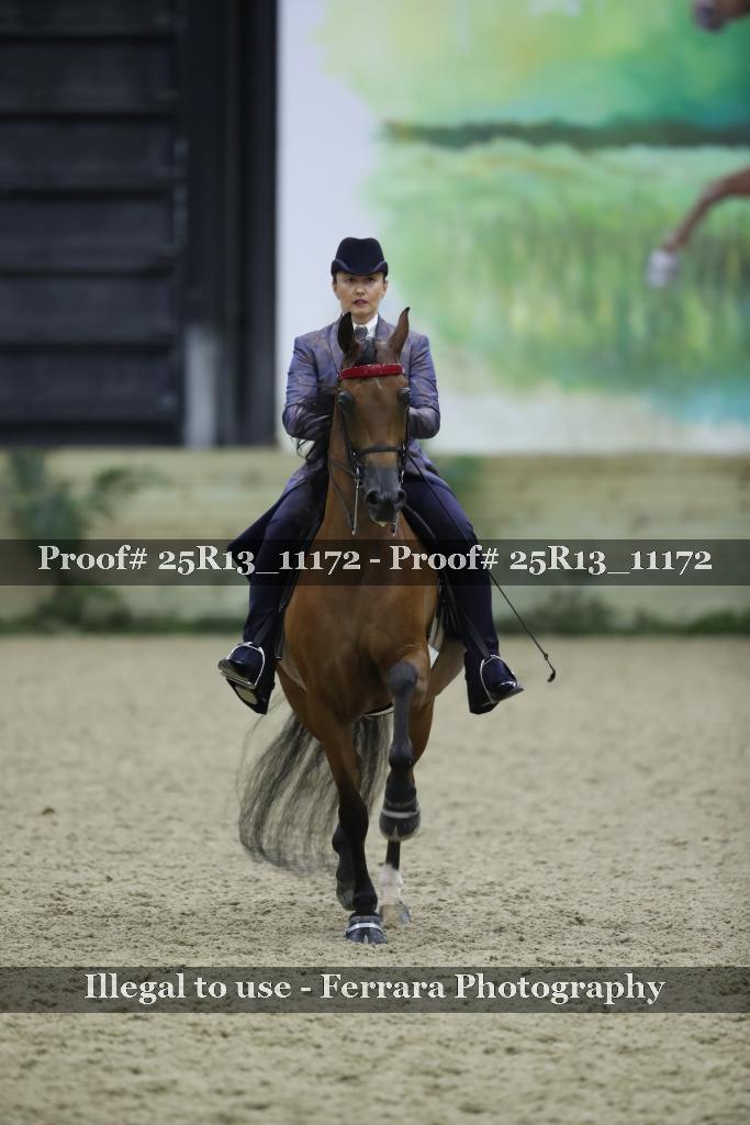Proof Number 25R13_11172