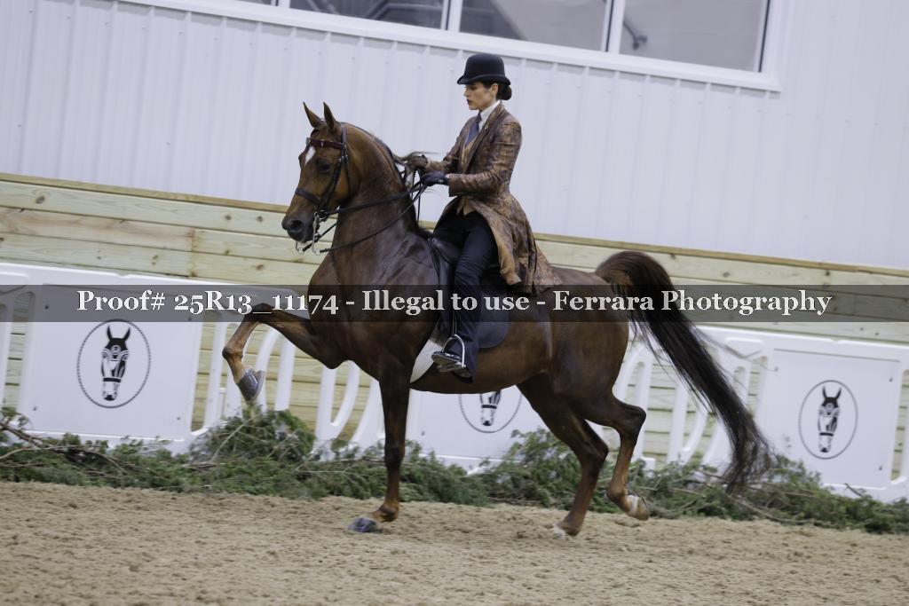 Proof Number 25R13_11174