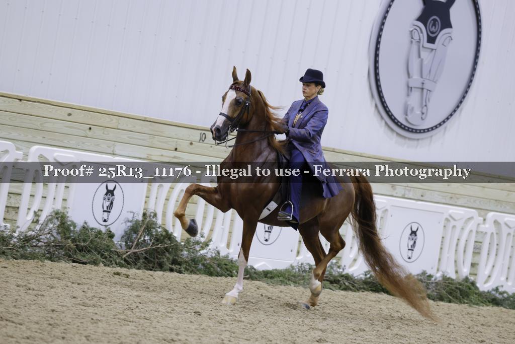 Proof Number 25R13_11176