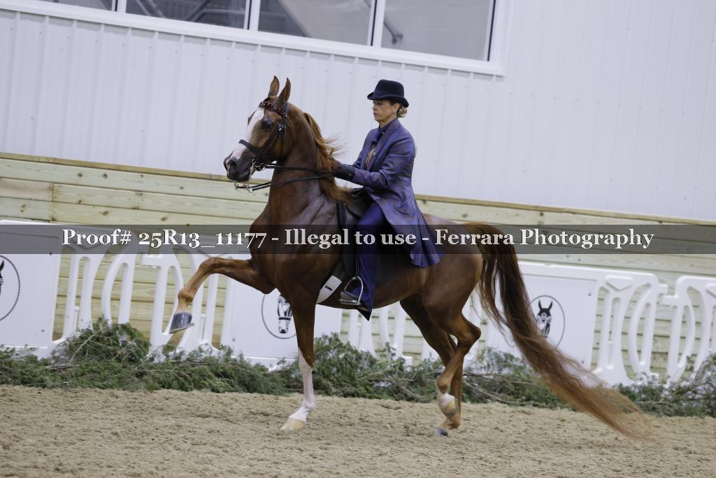 Proof Number 25R13_11177