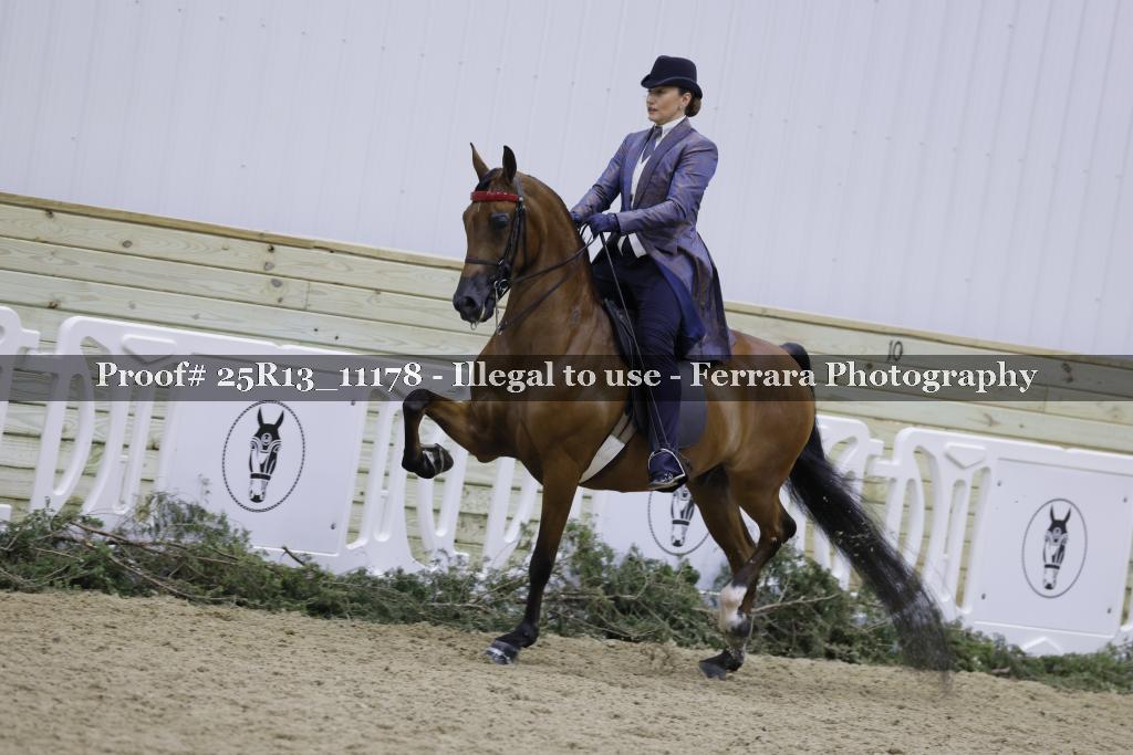 Proof Number 25R13_11178