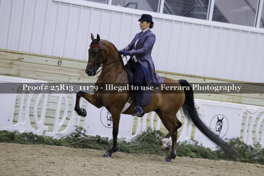 Proof Number 25R13_11179