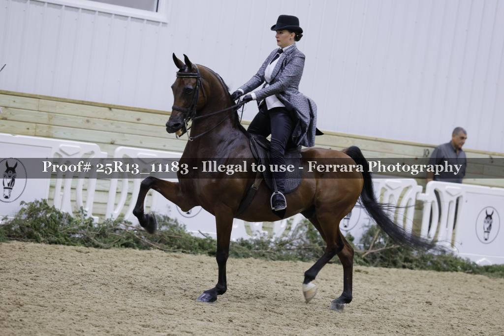 Proof Number 25R13_11183