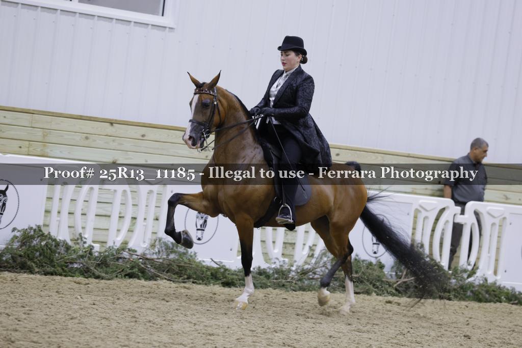 Proof Number 25R13_11185
