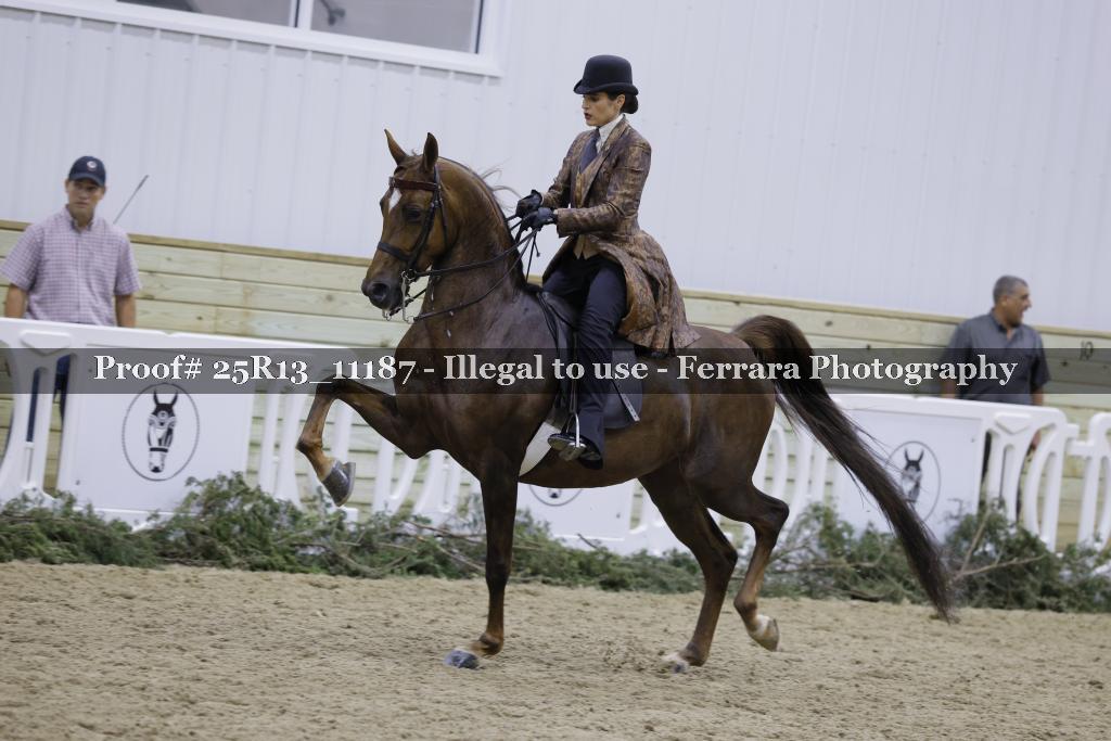 Proof Number 25R13_11187