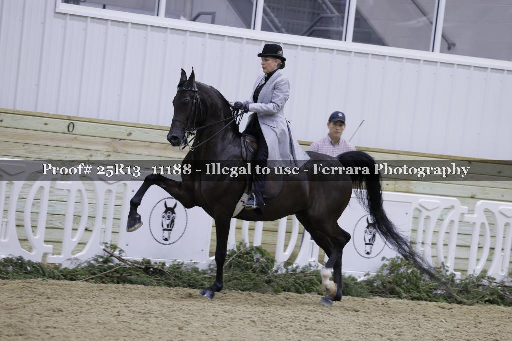 Proof Number 25R13_11188