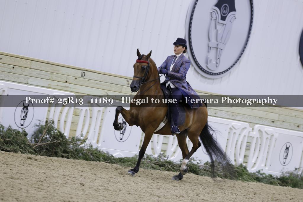 Proof Number 25R13_11189