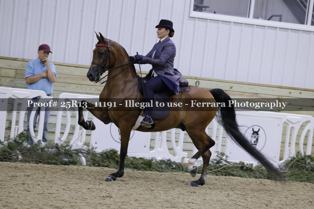 Proof Number 25R13_11191