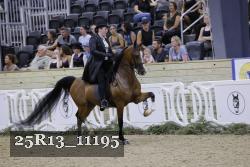 25R13_11195 thumbnail