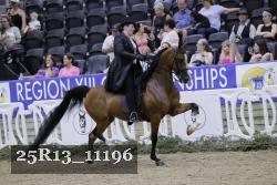 25R13_11196 thumbnail