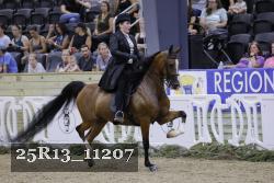 25R13_11207 thumbnail
