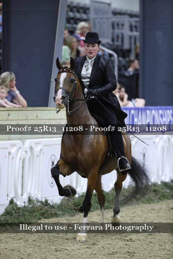 Proof Number 25R13_11208