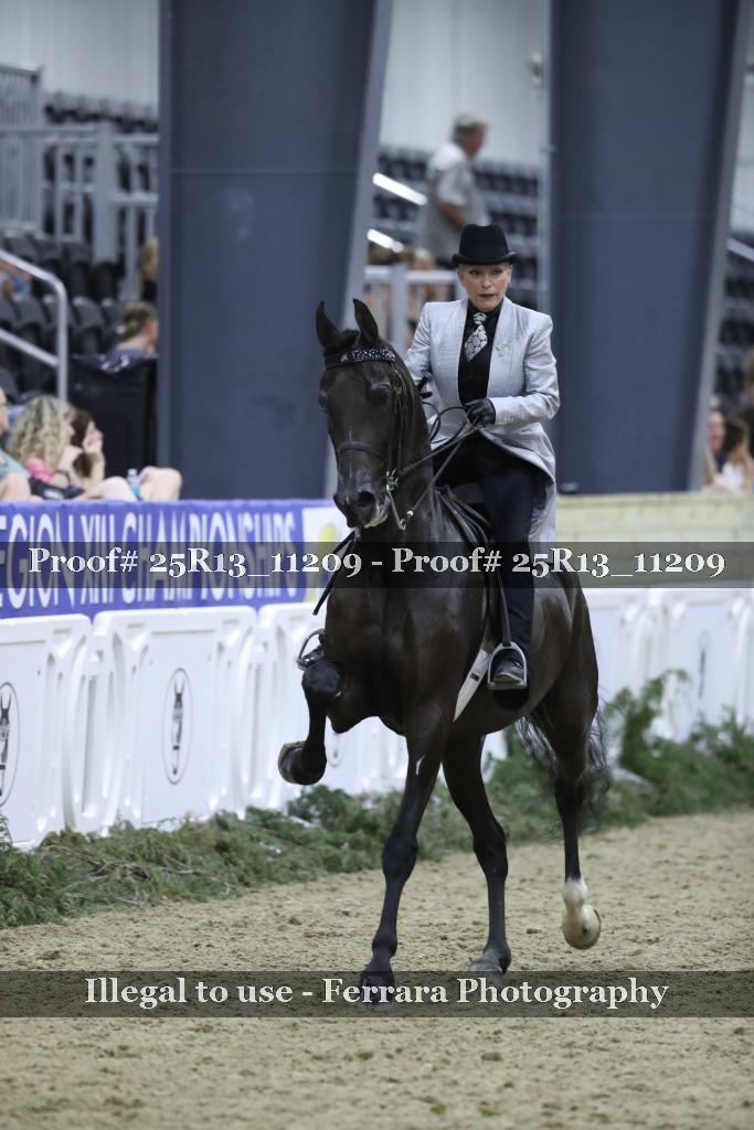 Proof Number 25R13_11209