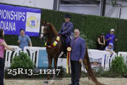 25R13_11217 thumbnail