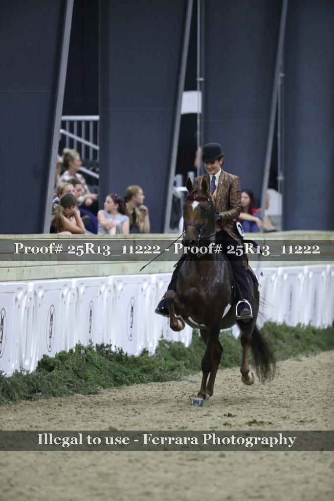 Proof Number 25R13_11222